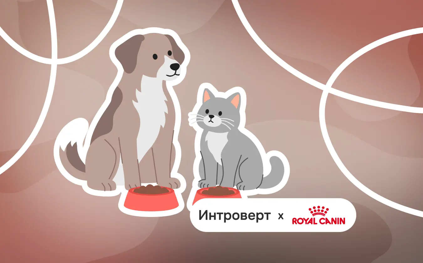 Обложка лекции «Миф о природном рационе: почему домашняя кошка и собака давно не дикие хищники»